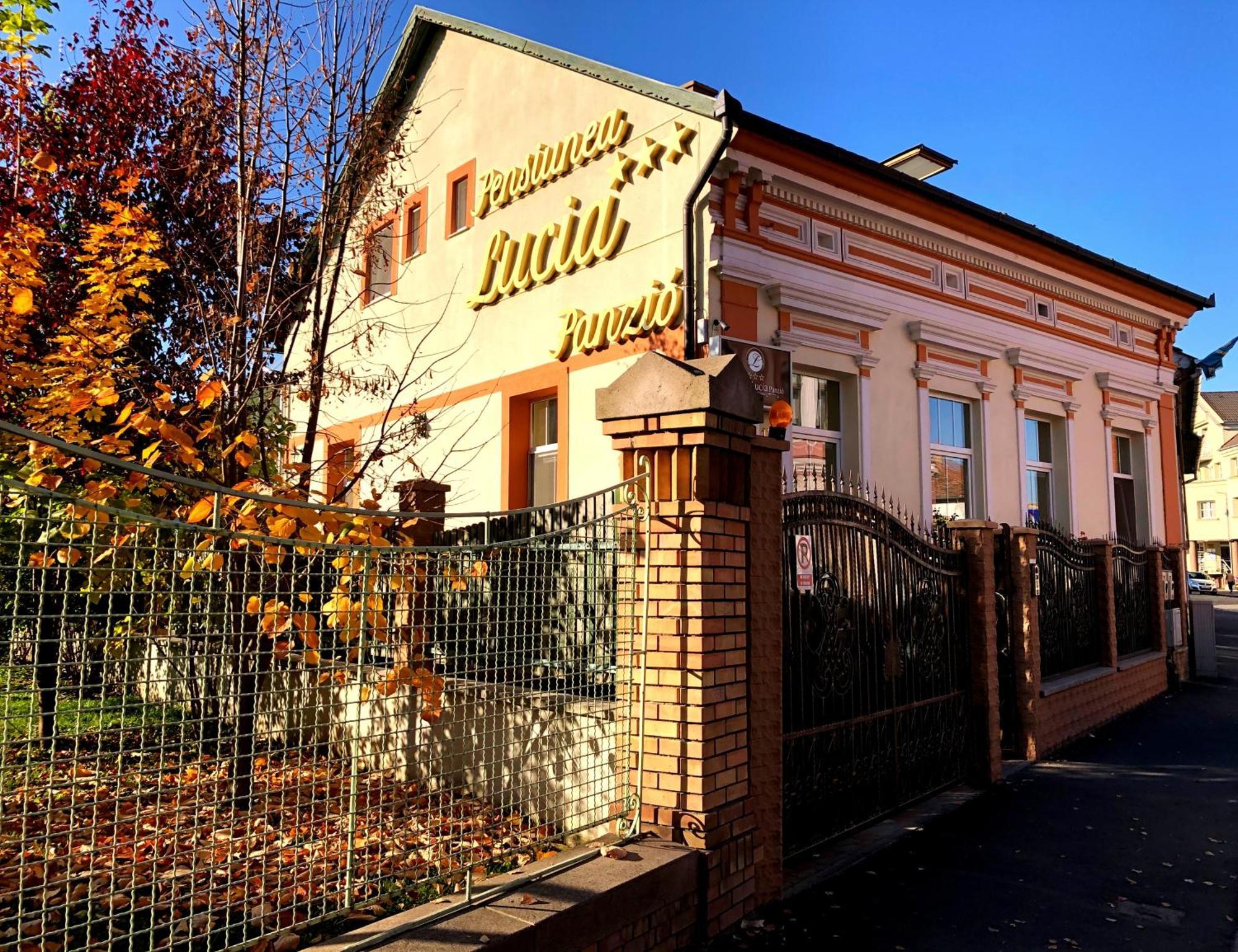 Pensiunea Lucia Sfântu-Gheorghe Buitenkant foto